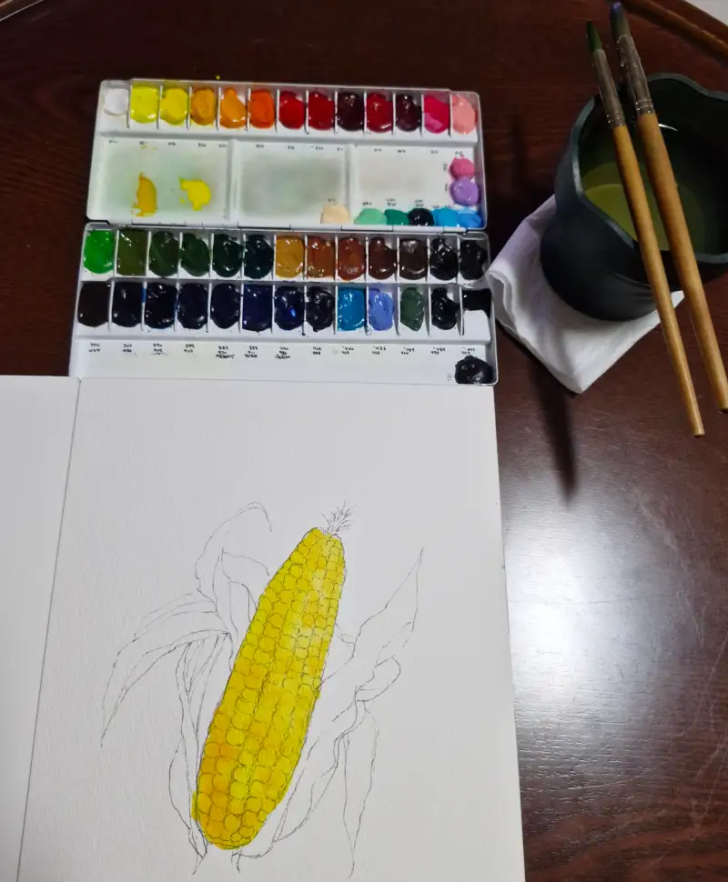 초당옥수수채색