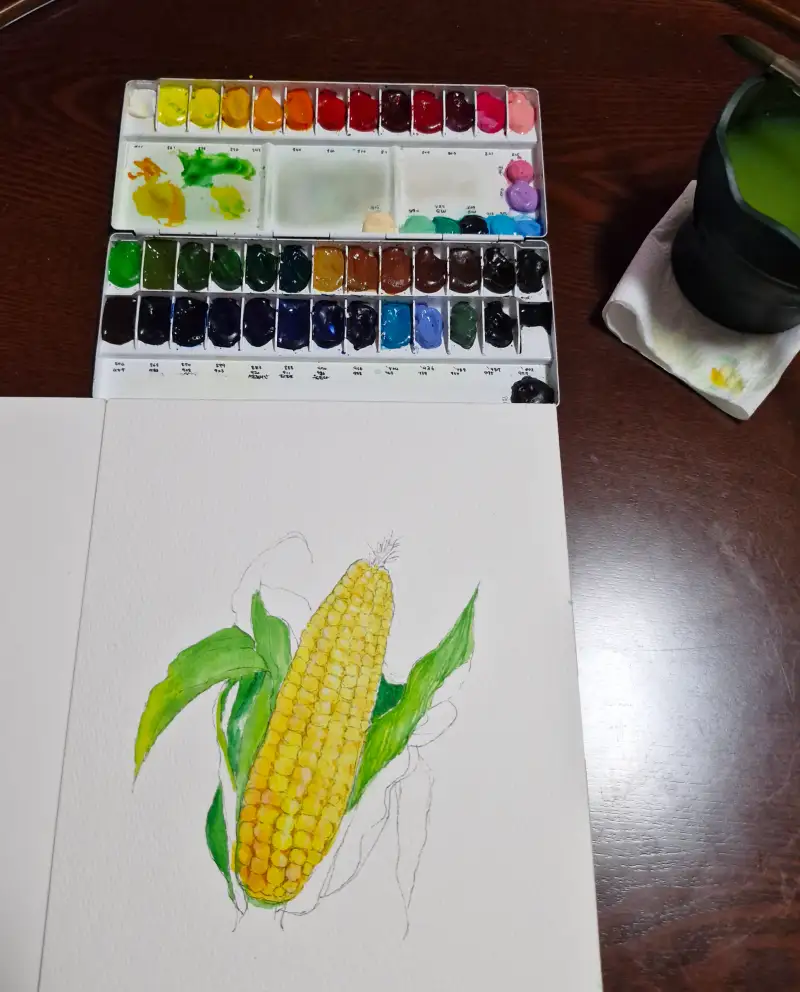 초당옥수수껍질채색