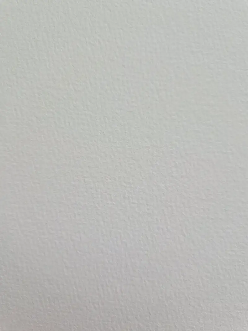 리얼코튼아카데이미중목