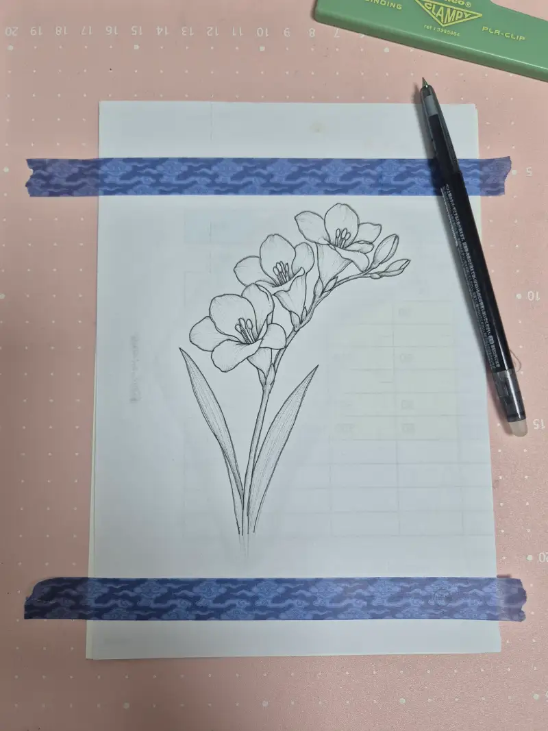 프리지아도안,화방넷드로잉로그,전사하기