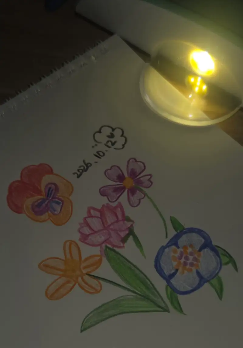 파버카스텔,색연필,12색