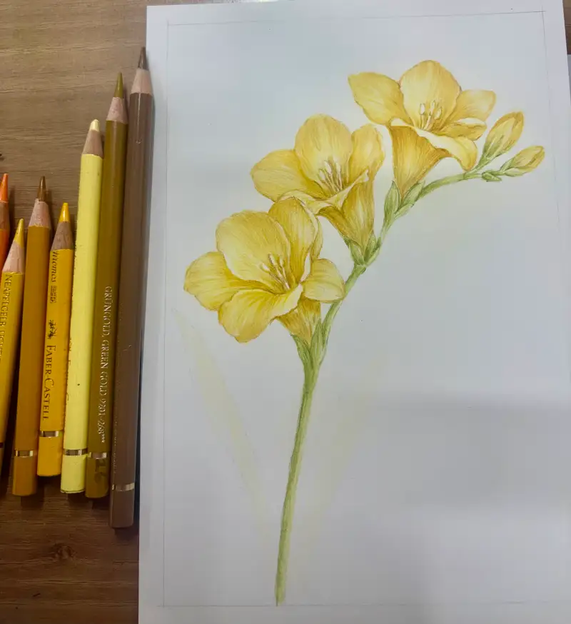파버카스텔,폴리크로모스