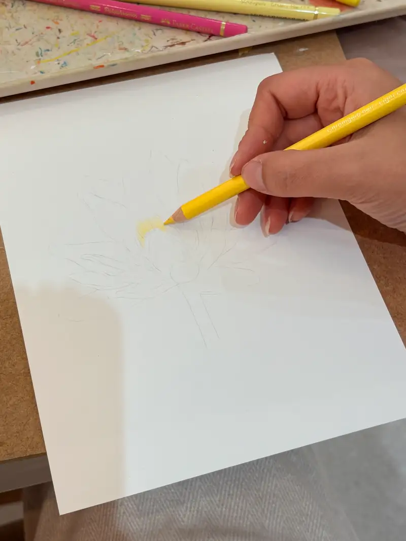 파버카스텔폴리크로모스