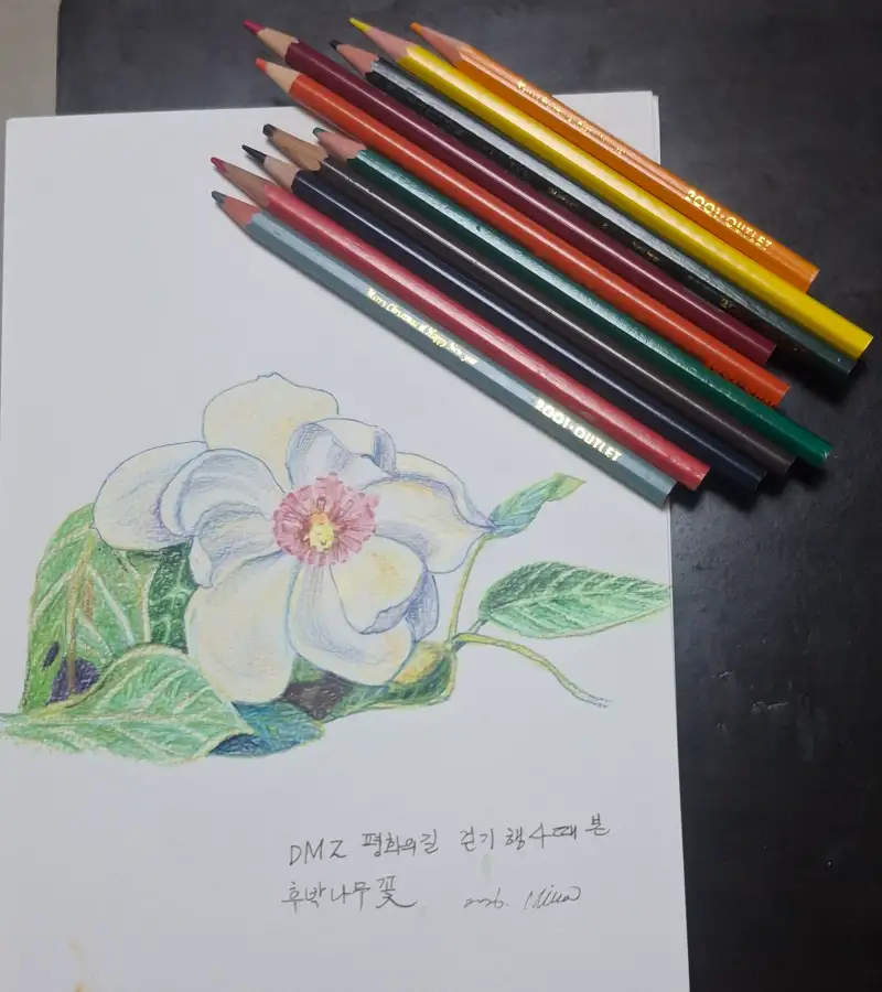 화방넷드로잉로그,보테니컬아트,색연필드로잉