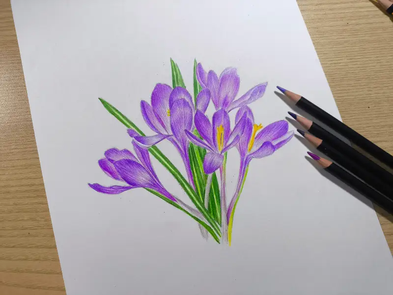 이터널유성색연필72색,보라꽃,봄꽃