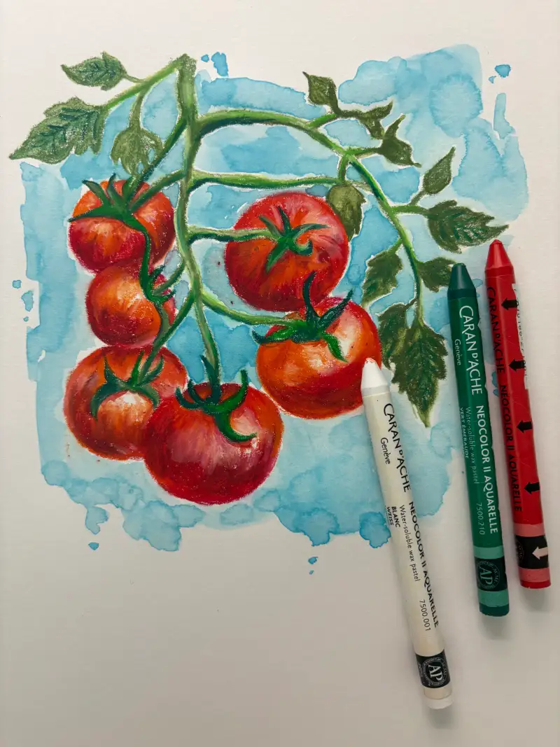 화방넷,드로잉챌린지,드로잉로그,열매,보태니컬아트,크레용드로잉,열매그리기,토마토일러스트,크레용일러스트,수성크레용아트,수성크레용일러스트