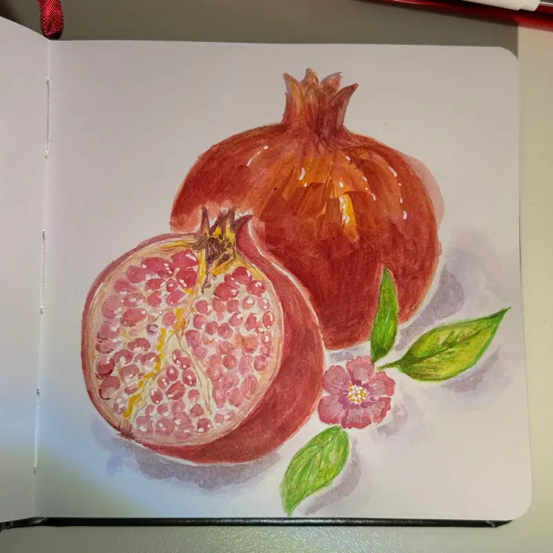 드로잉로그,석류그림,열매그림,홀베인,노드,까렌다쉬