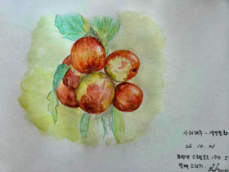 파버카스텔수채색연필,드로잉로그17기2차,열매그리기