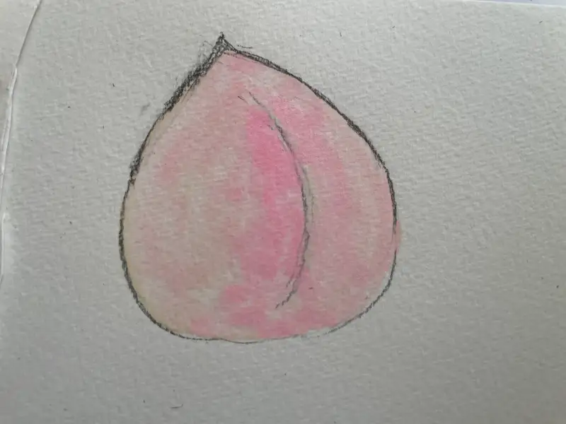 복숭아,분홍색