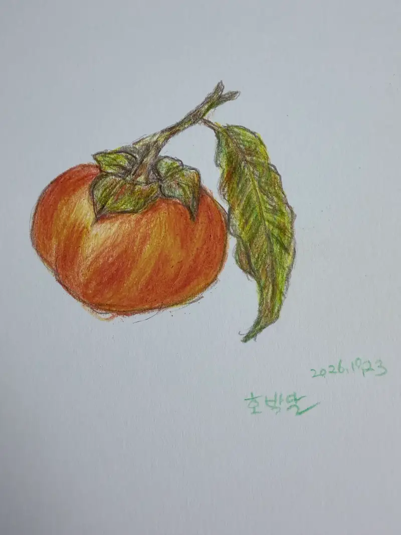 거을감,드로잉보타니컬아트,색연핈