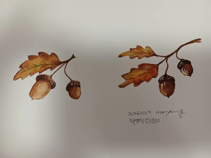 화방넷드로잉로그,2주차,열매그리기