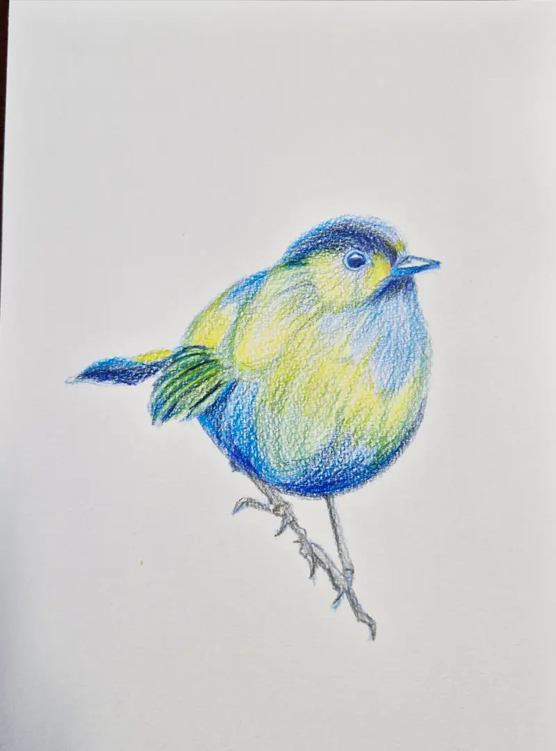 색연필예쁜새그림