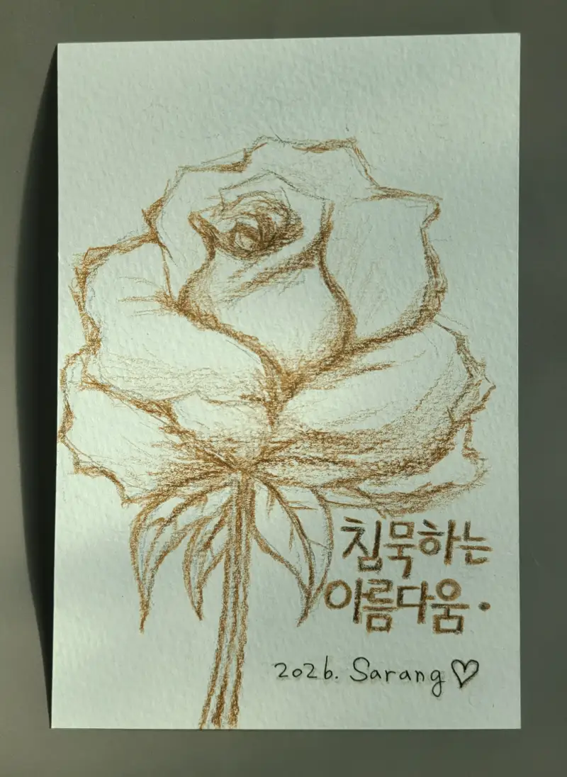 장미,스케치,색연필,보태니컬,손글씨